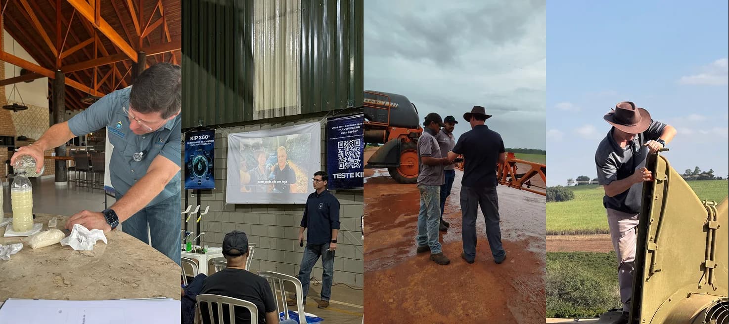 Campo de cultivo ao entardecer com plantação saudável...