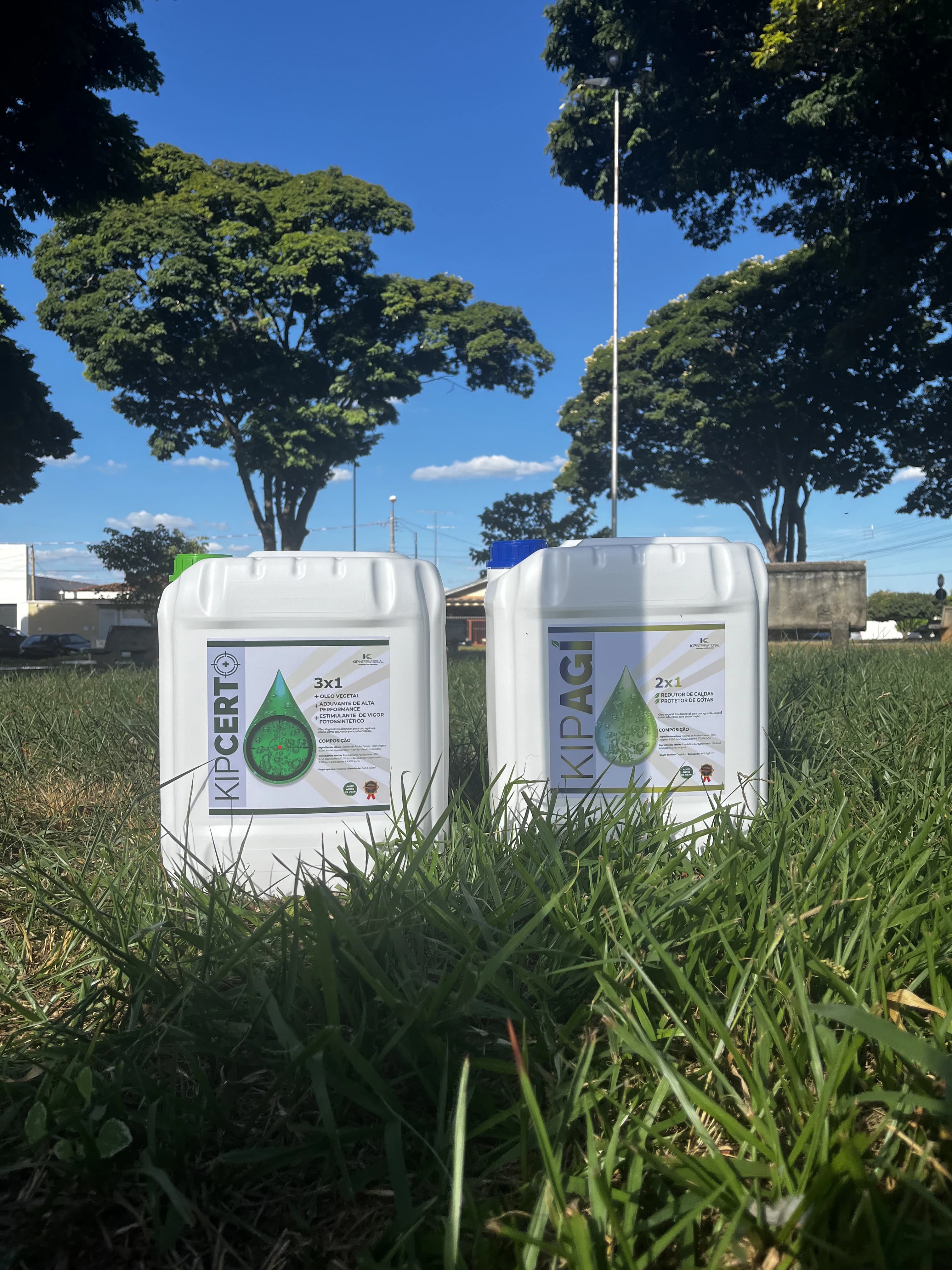 Campo de cultivo ao entardecer com plantação saudável...