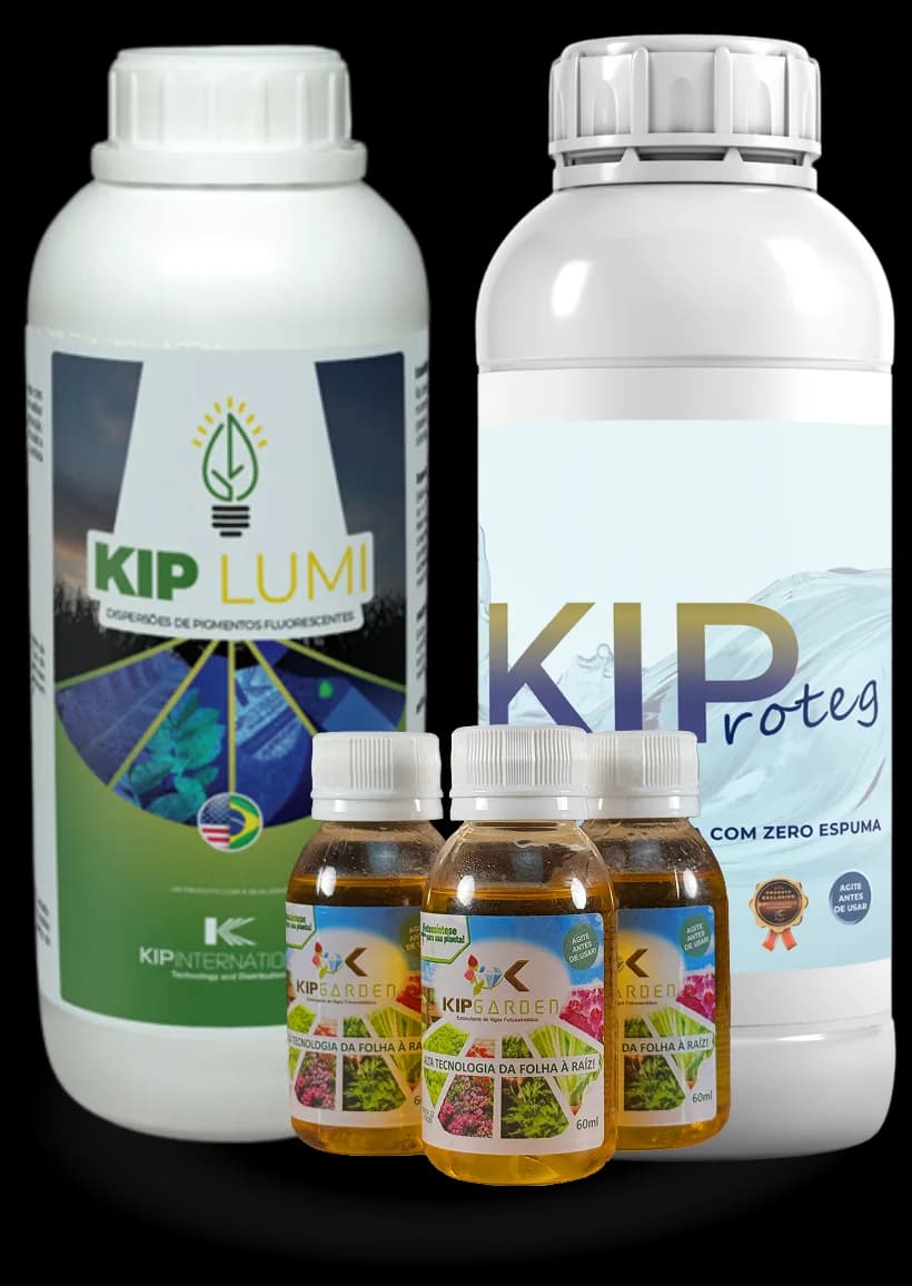 Imagem do produto Kip Cert